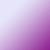 lila - violett - flieder