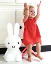 Mr-Maria-Lampe-Miffy-klein-464478_2.jpg