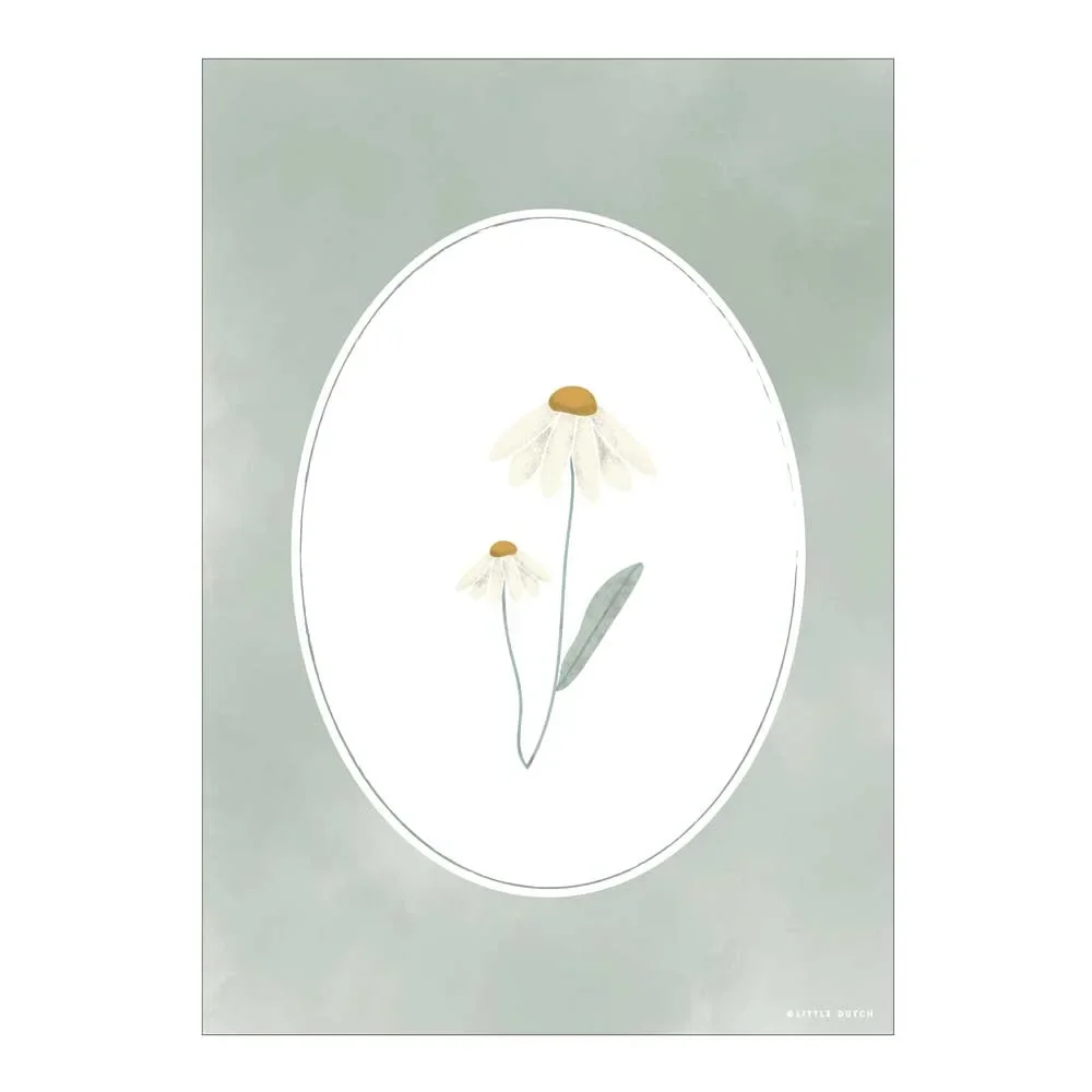 Little-Dutch-Poster-Kamille-oliv--Wild-Flowers---zweiseitig-465739_2.jpg
