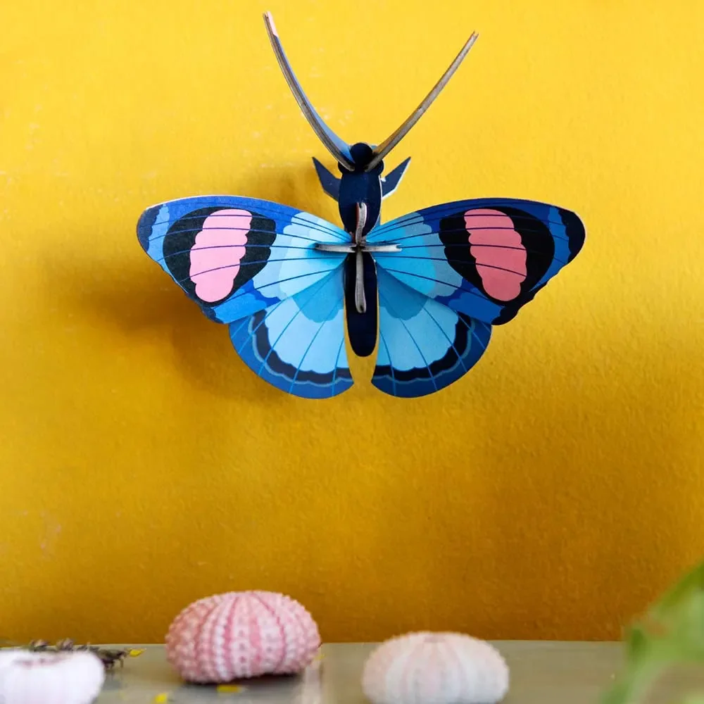 studio-ROOF-3D-Schmetterling-blau-Pappe-466434_1.jpg