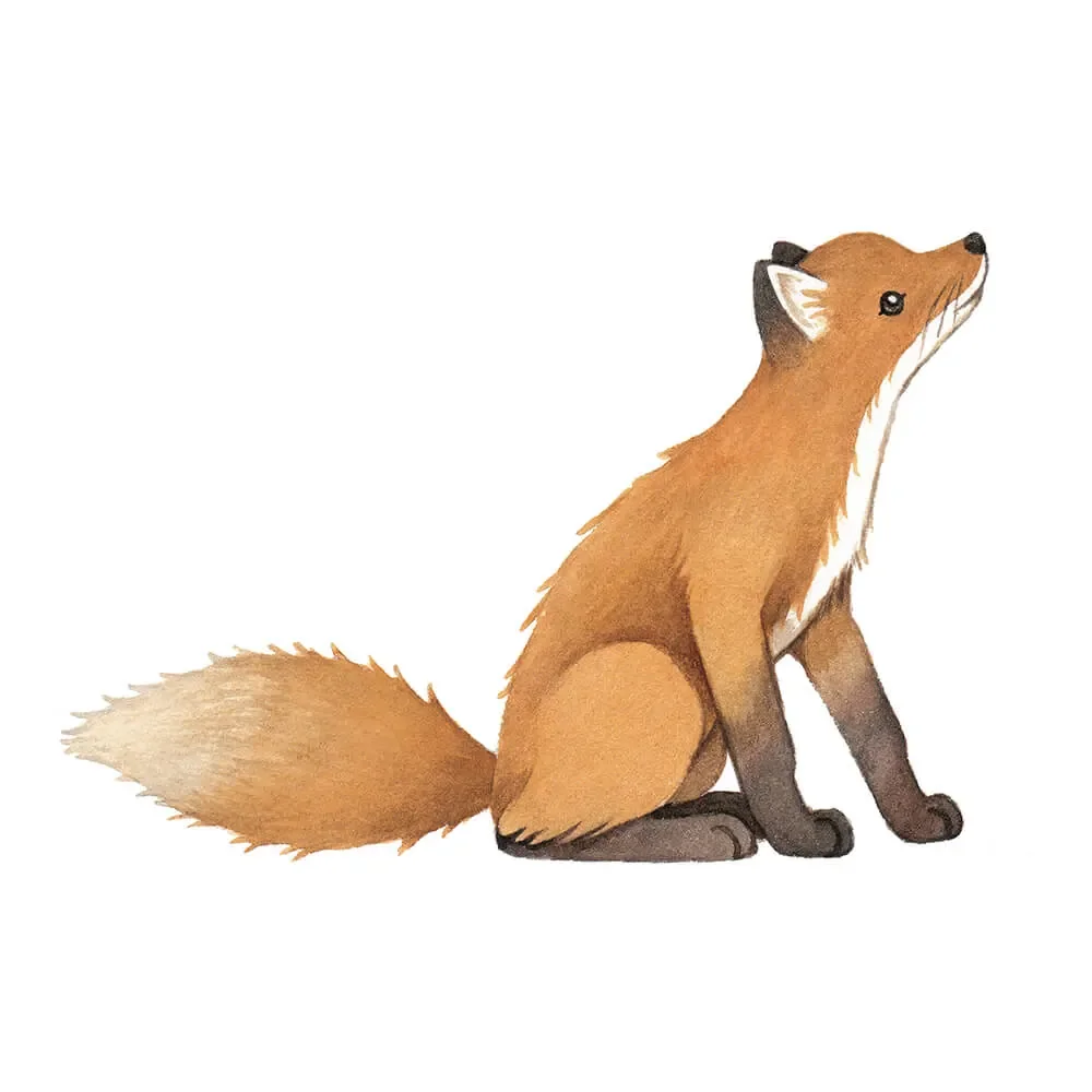 Lilipinso Wandsticker großer Fuchs orange