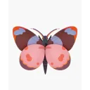studio ROOF 3D Schmetterling rosa Pappe