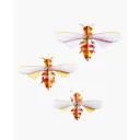 studio ROOF 3D Honigbienen Pappe