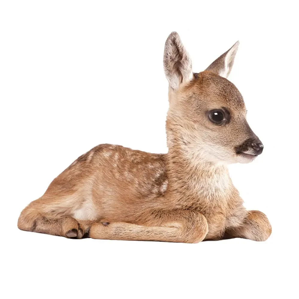 Kek Amsterdam Wandsticker Forest Friends Reh, Größe: 40 x 33 cm