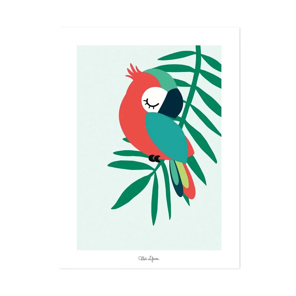 Lilipinso Poster schlafender Papagei grün rot