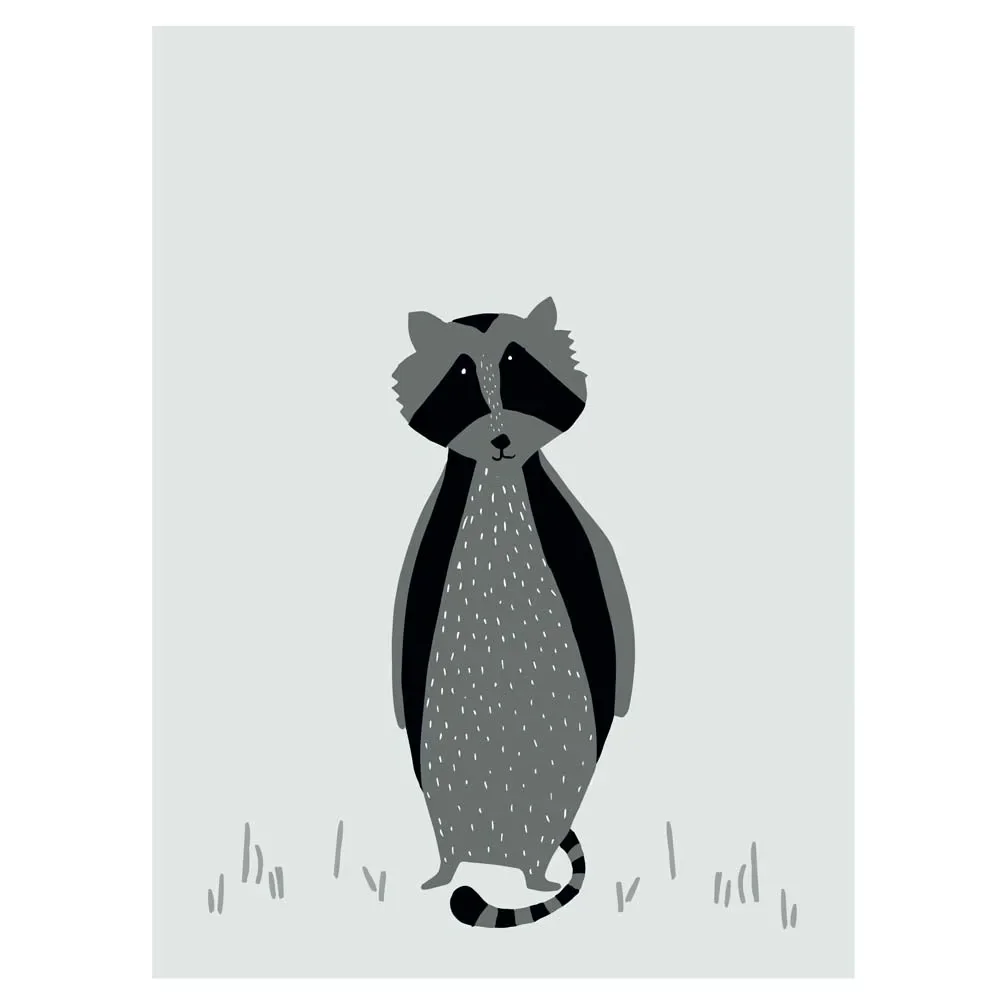 Trixie Kinderposter Waschbär