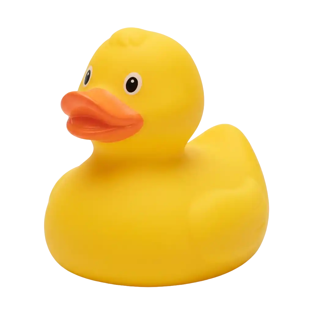 Badewannenspielzeug image