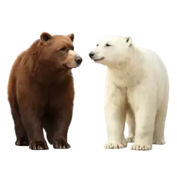 Bär & Eisbär Bild