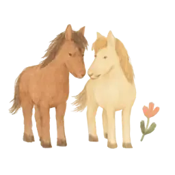 Abracazoo Pferde image