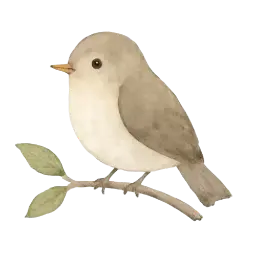 Vögelchen image