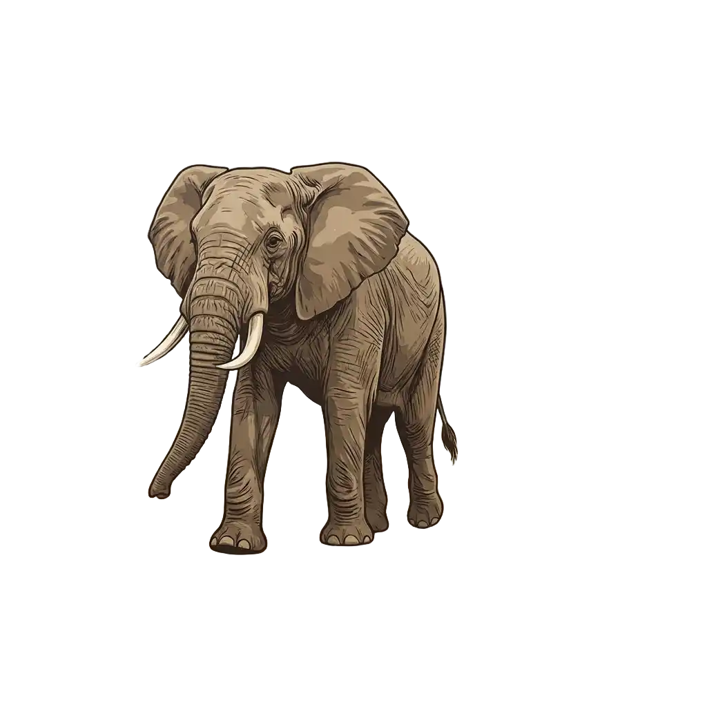 Tanzania Bild