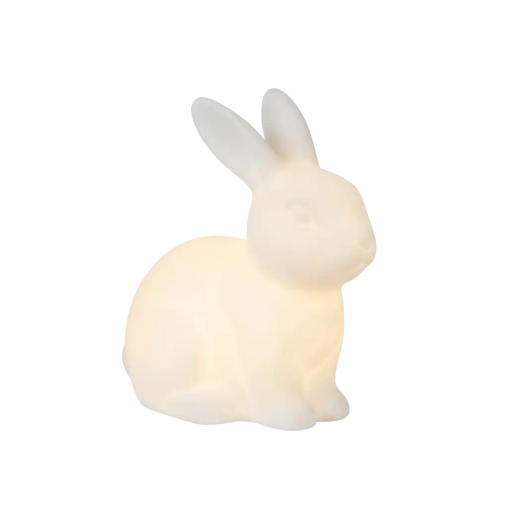 Roommate Lampen image