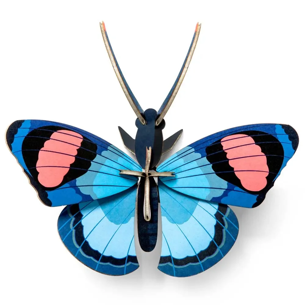 "studio ROOF 3D Schmetterling blau Pappe image"