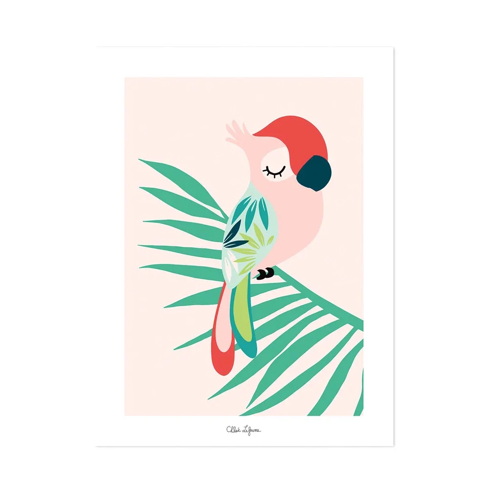 "Lilipinso Poster schlafender Papagei rosa rot grün image"