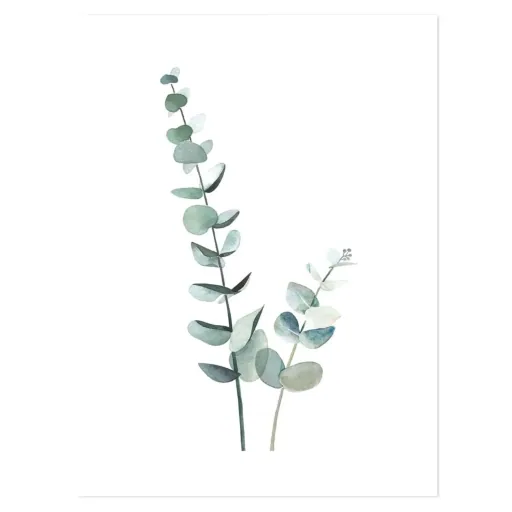 Lilipinso Poster Eucalyptus zartgrün